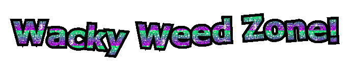Wacky Weed Words